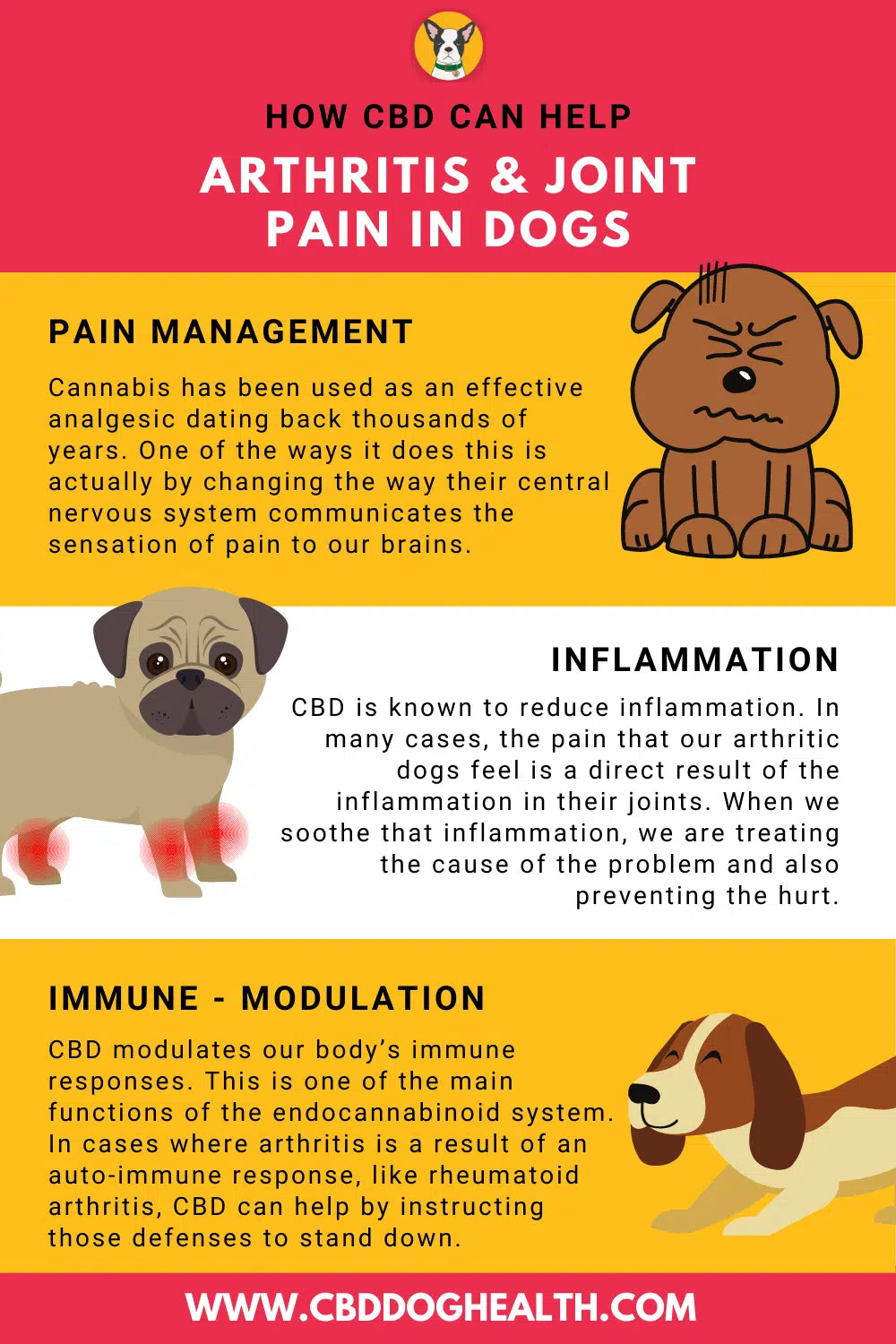 EASE: CBD for Dogs