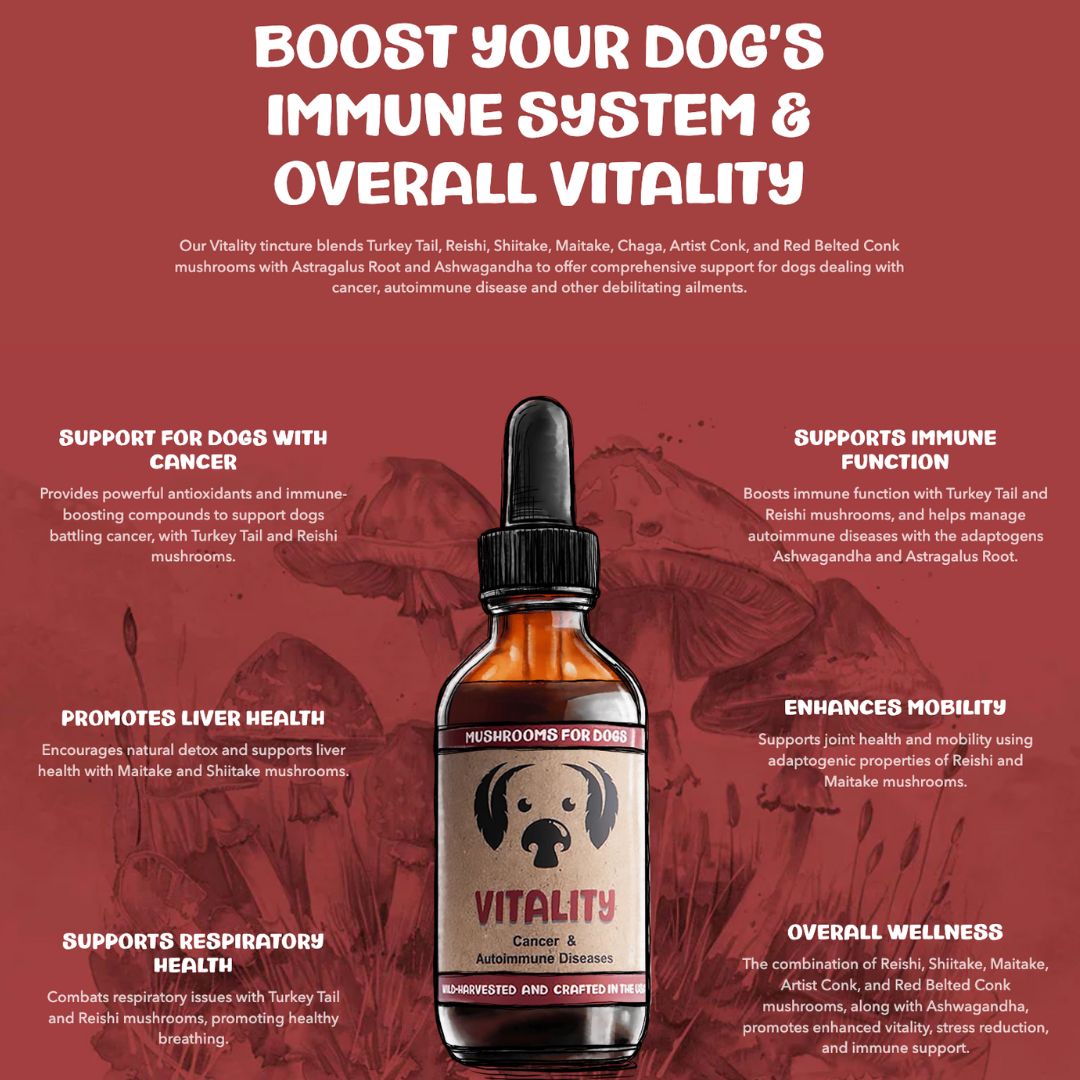 MycoDog Vitality