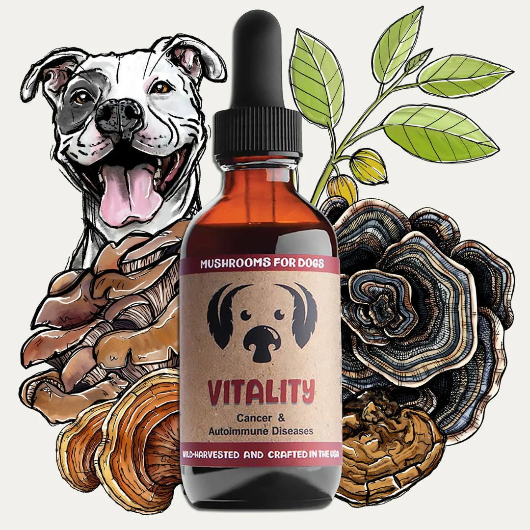 MycoDog Vitality